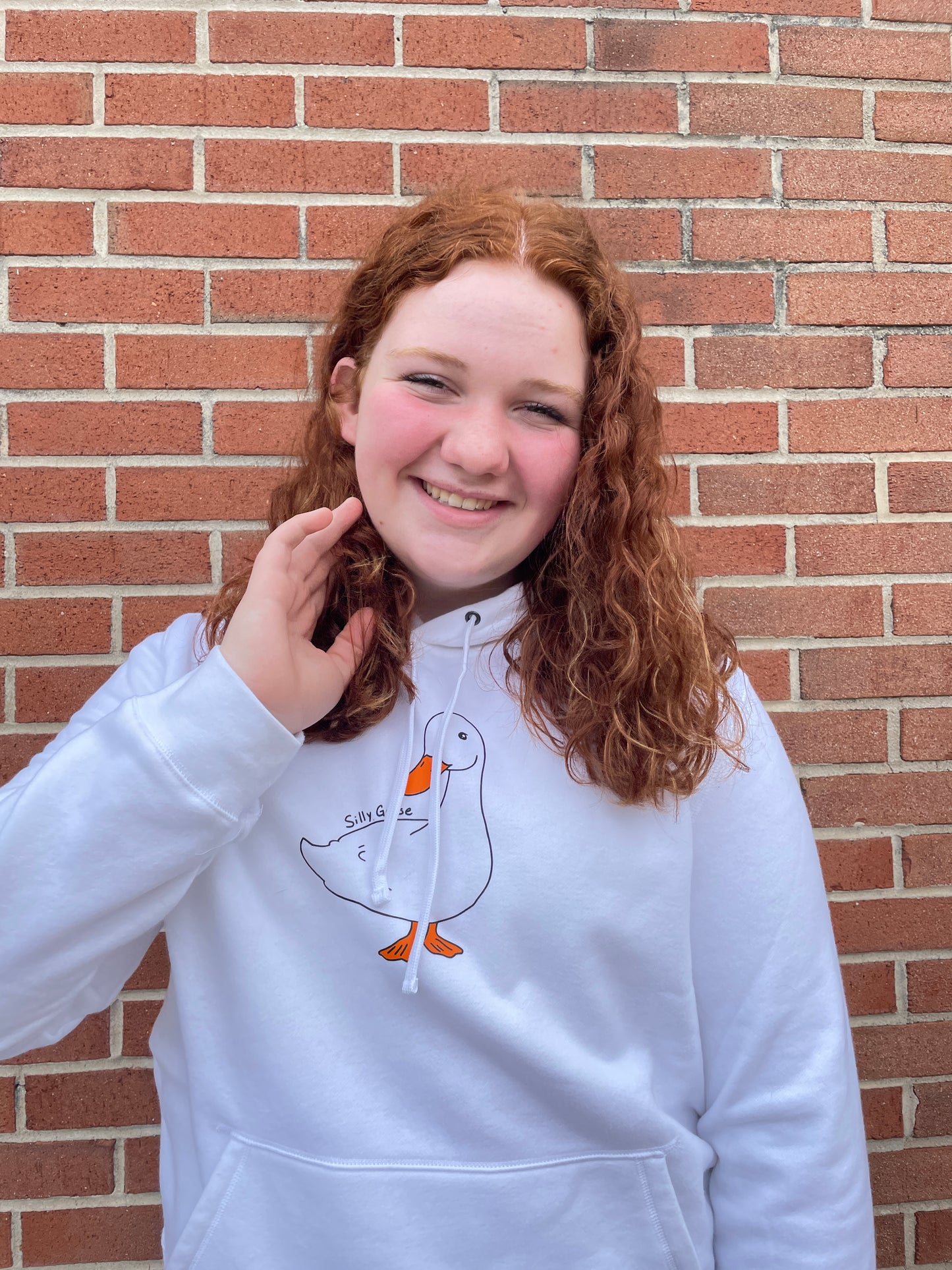 Silly Goose Hoodie